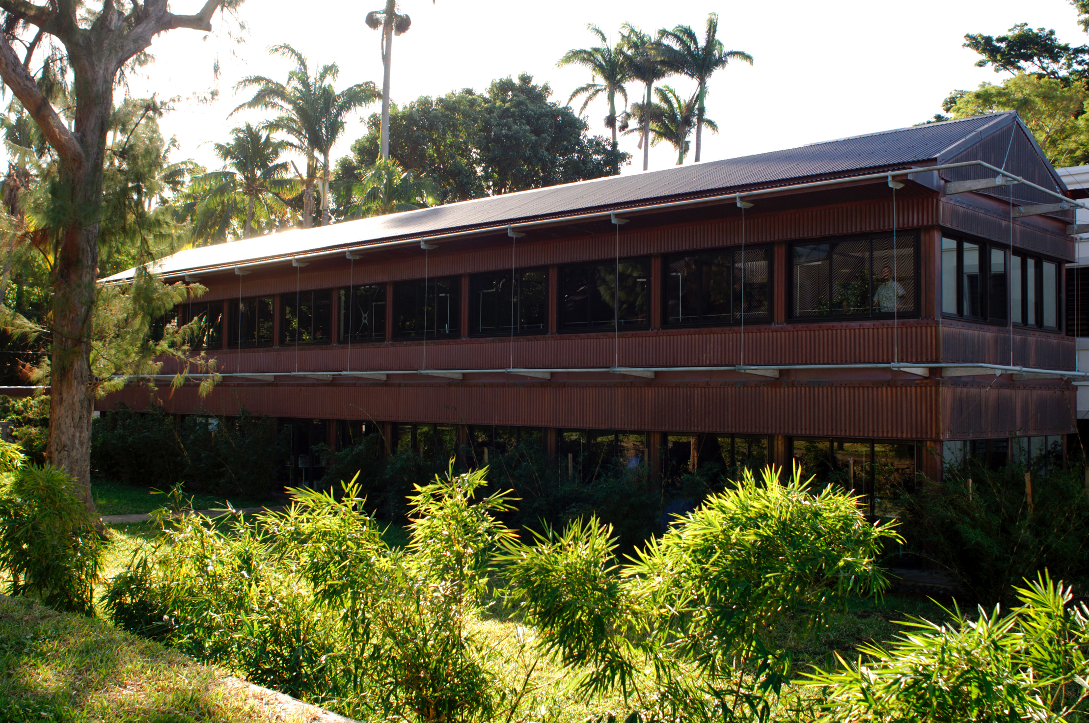 Opération DIREN – Parc de la Providence, Saint-Denis